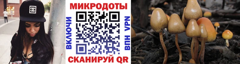Псилоцибиновые грибы мухоморы  Лабытнанги 
